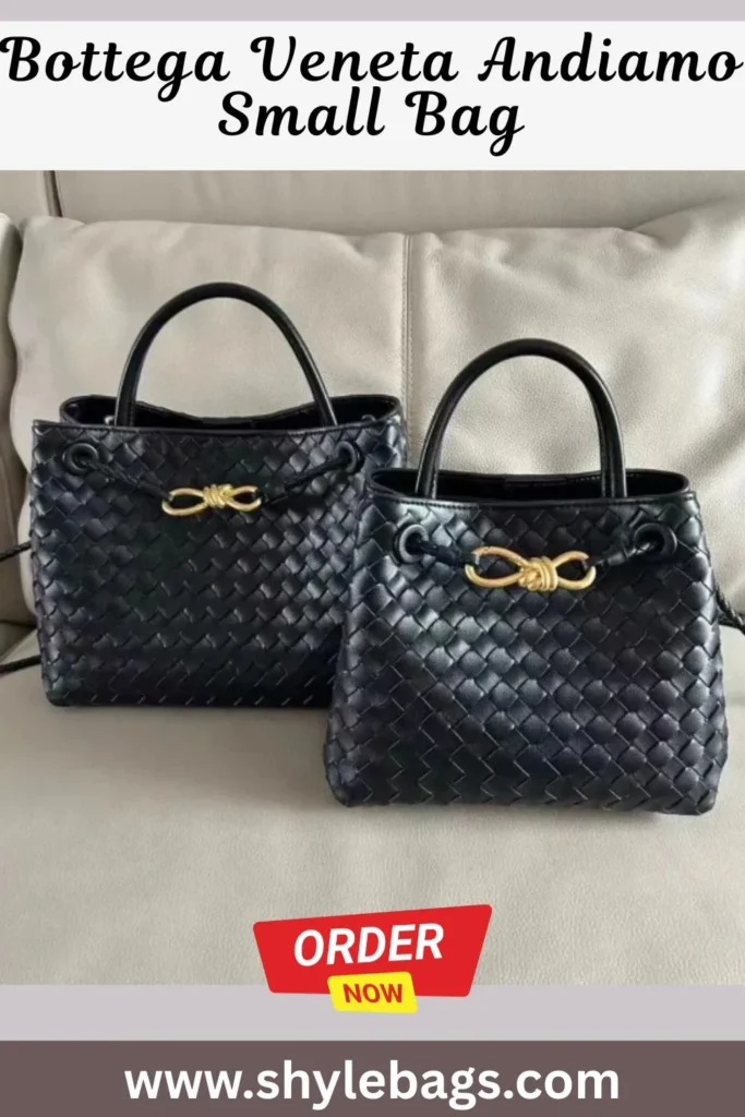 Bottega Veneta Andiamo Small Bag 