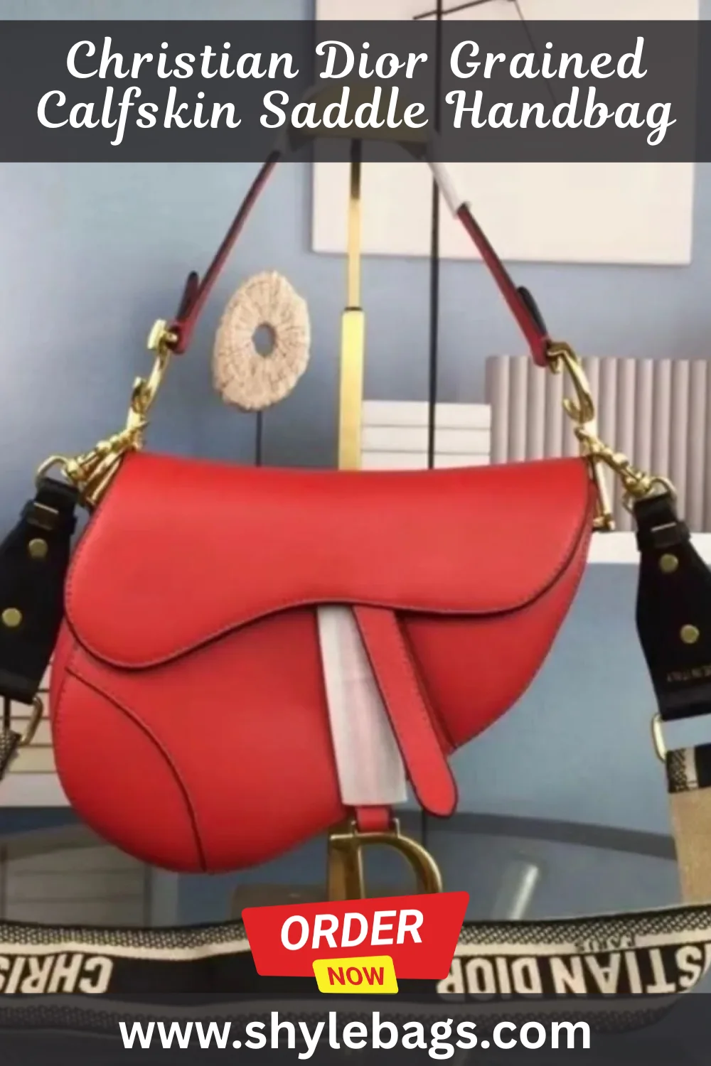 Christian Dior Grained Calfskin Saddle Handbag