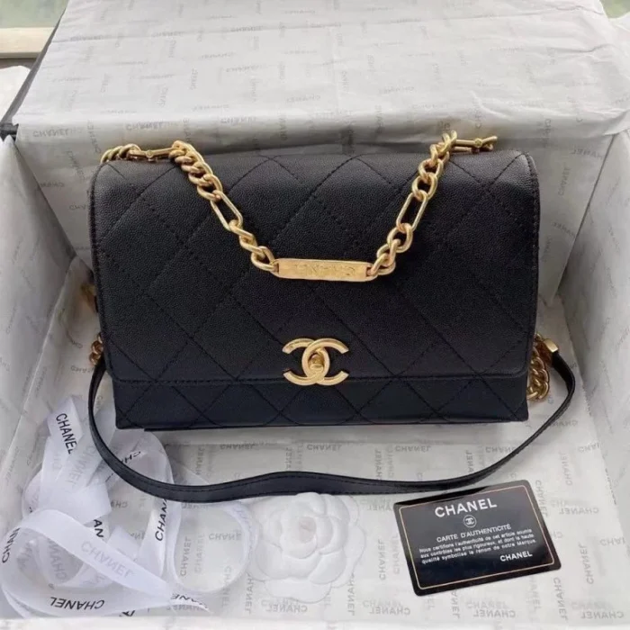 Chanel Designer Handbags For Women - Different Colors - Image 8