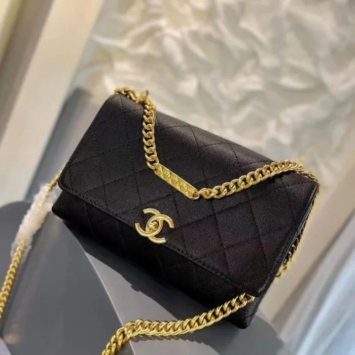 Chanel Designer Handbags For Women - Different Colors - Image 11
