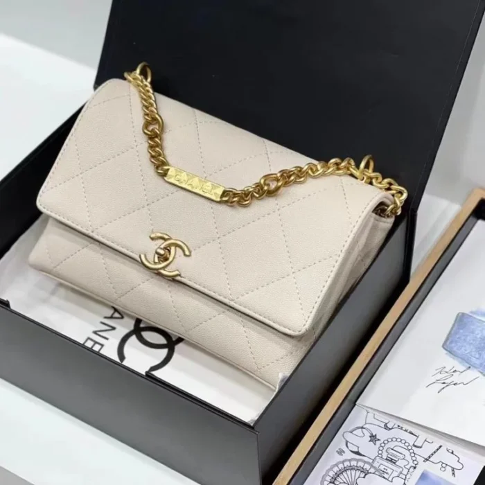 Chanel Designer Handbags For Women - Different Colors - Image 7