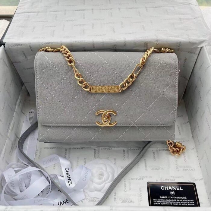 Chanel Designer Handbags For Women - Different Colors - Image 10