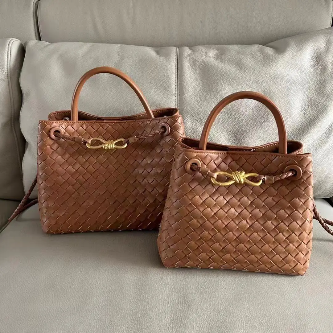Bottega Veneta Andiamo Small Bag brown