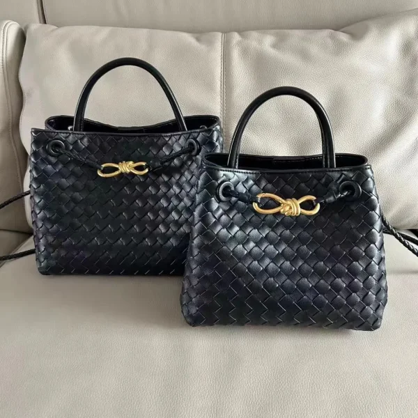 Bottega Veneta Andiamo Small Bag