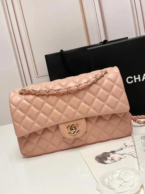 Chanel Classic Flap Bag 25 For Women
