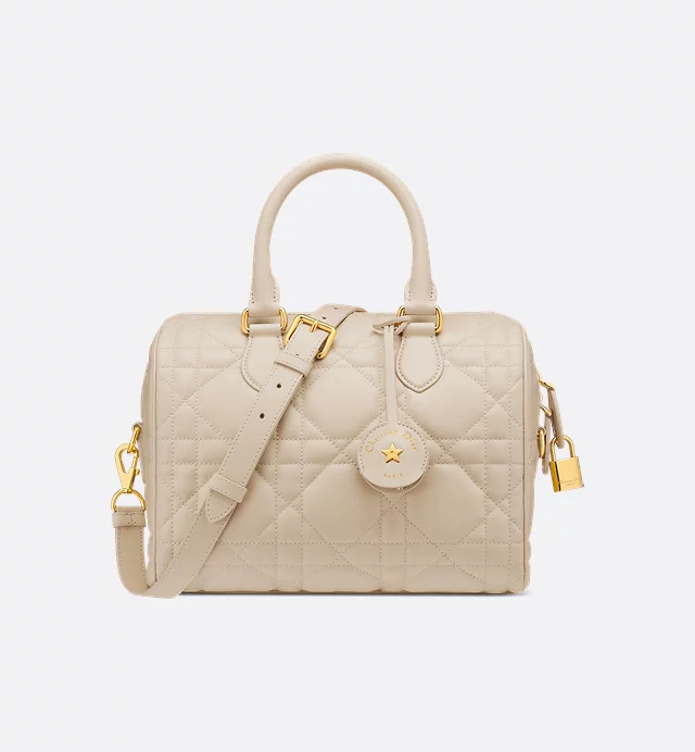Dior Groove 25 Bag skin back side